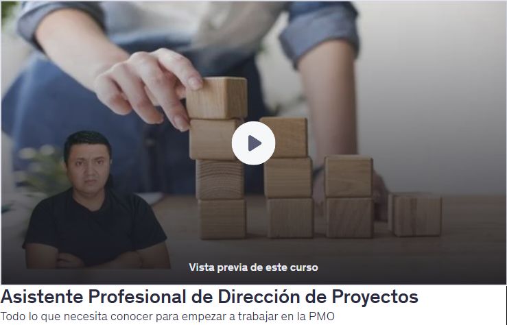 Asistente Profesional de Dirección de Proyectos