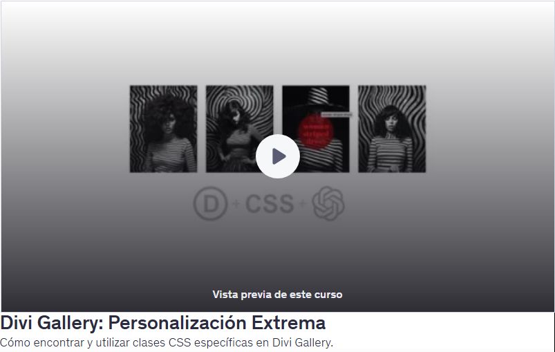 Divi Gallery: Personalización Extrema