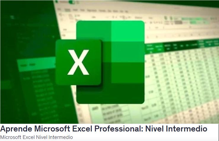 Aprende Microsoft Excel Professional: Nivel Intermedio