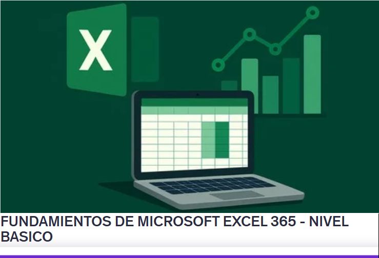 FUNDAMIENTOS DE MICROSOFT EXCEL 365 - NIVEL BASICO